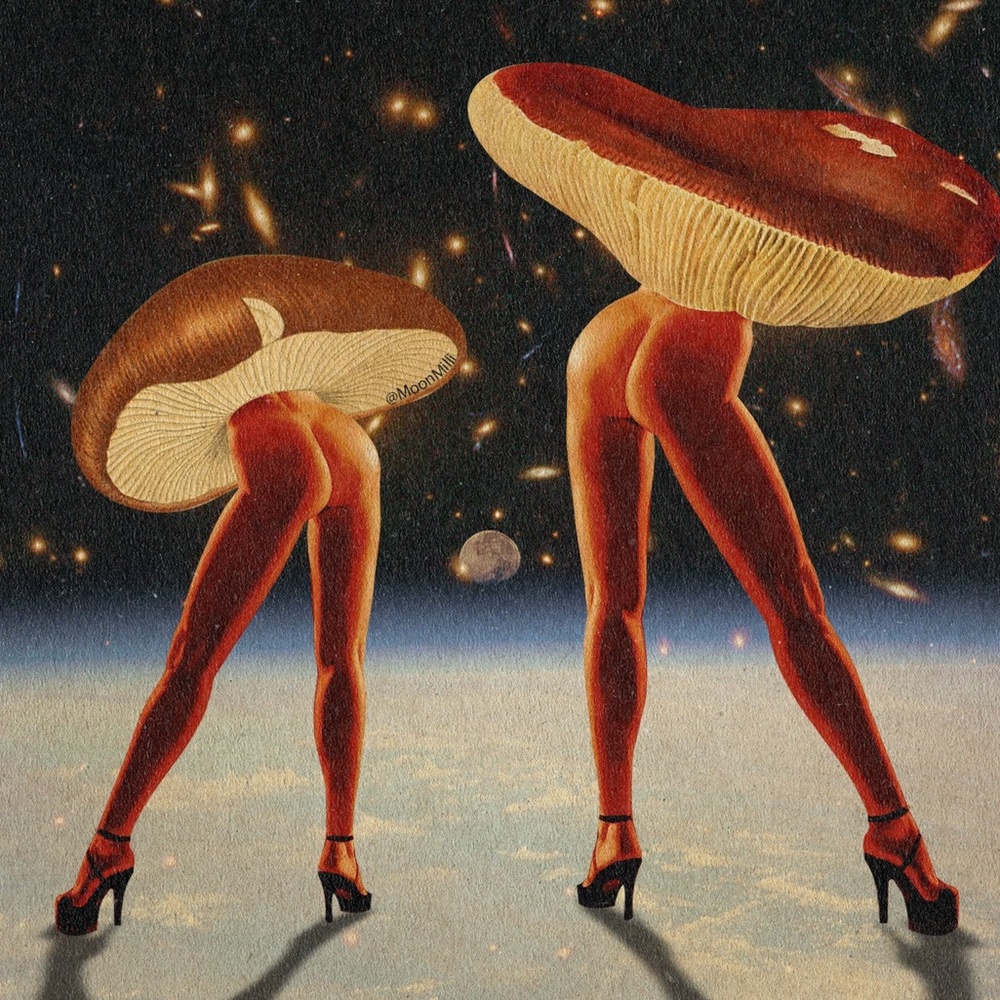 Meet your Posher, Britni